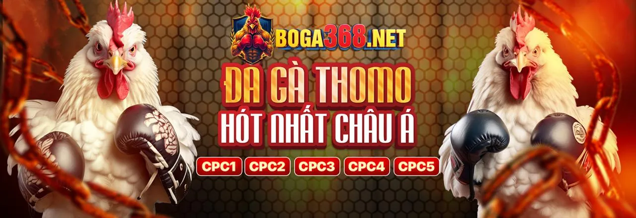 Tuân thủ GDPR của OKVND - Bảo vệ dữ liệu người chơi